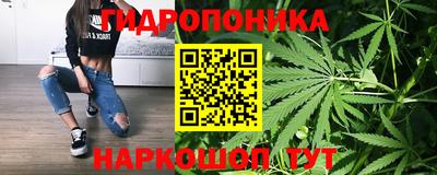 2c-b Будённовск